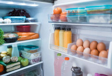 Jangan Asal Cemplung! Ini Cara Menata Kulkas yang Benar Agar Bahan Makanan Awet